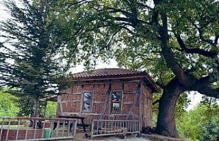 Türkiye’nin en küçük mescidi restore edilecek
