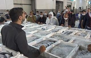 Türkiye’nin palamudu Samsun’dan