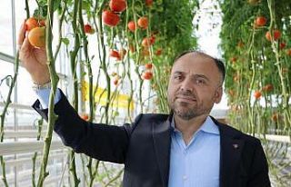 Türkşeker’den sera üretiminde “sözleşmeli...