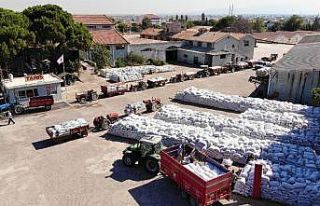 Üzüm alımları başladı, çiftçiler depoların...
