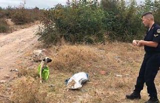 Vahşetin böylesi...Çanakkale’de, çuvala koyularak...