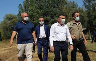 Vali Atay Efteni Kuş Cenneti’nde incelemelerde...