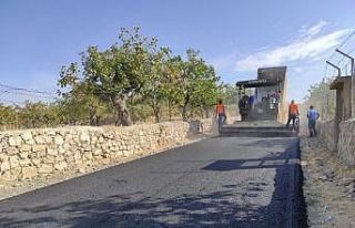 Vali ve Belediye Başkan Vekili Hacıbektaşoğlu,...