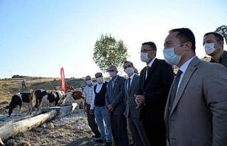 Valiler, "Dombayçayır Köyü Mera Islah ve...