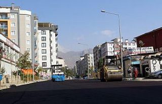 Van Büyükşehir Belediyesinden yol asfaltlama çalışması