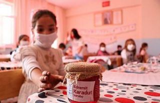 Van’da yüz yüze eğitim ’Edremit Karadut Şurubu’...