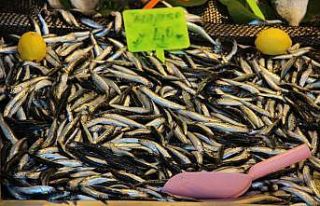Vatandaşlar tezgahlarda hamsinin bollaşması için...