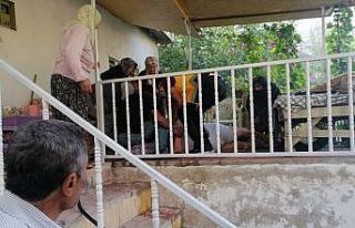 Yangında zehirlenen kadın öldü