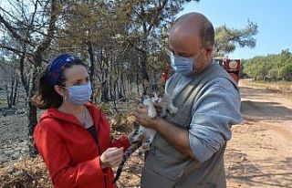 Yangından ‘Ateş’i kurtardılar