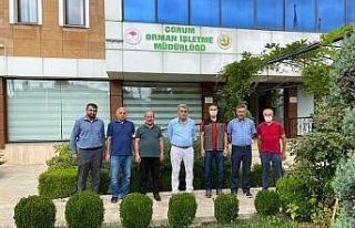 Yaralanan orman işçilerinin tedavileri sürüyor