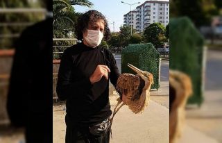 Yaralı balıkçıl kuşuna sahip çıktılar