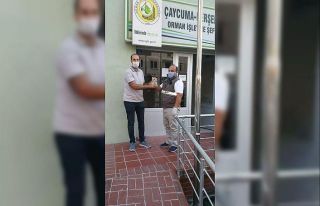 Yaralı Doğan ve Baykuş tedavi altında