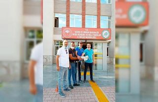 Yaralı leylek koruma altına alındı