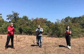 Yaralı tilki ve sansarlar tedavi edilip ormana salındı