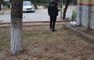 Yaşlı adam ağaçtan düşüp yaralandı