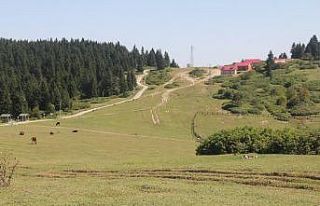 Yaylada mahalle kültürü konsepti oluşturuluyor