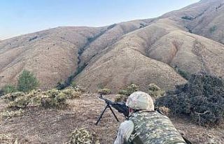 Yıldırım-9 Şenyayla Operasyonu başlatıldı