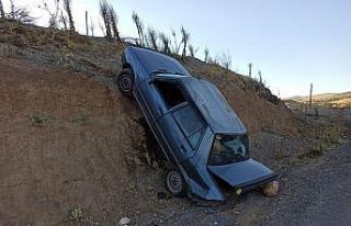 Yol kenarına çarpan otomobil şaha kalktı: 2 yaralı