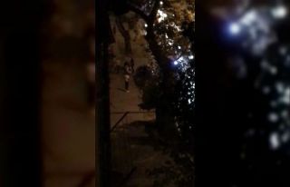 ‘Yor verme’ tartışması silahlı kavgaya dönüştü