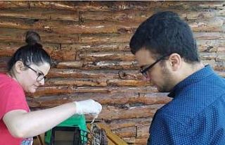 Yorgun halde bulunan Kerkenez, tedavi altına alındı