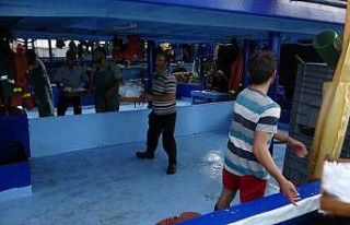 Zonguldak’ta palamut bolluğu