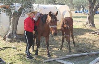 11 yaşında at binip, engeller üzerinden atlıyor