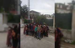 15 kişilik minibüsten 27 kişi çıktı, say say...