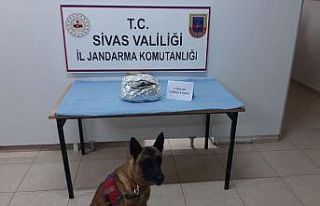 15 olayda 21 kişi hakkında işlem yapıldı