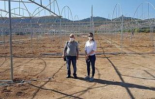 1 milyon liralık destekle kendi seralarını kuruyorlar