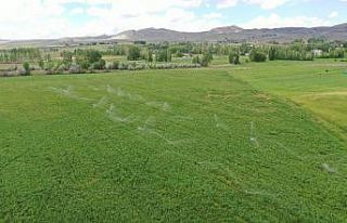 2020 yılında 220 bin dekar tarım arazisi sulandı