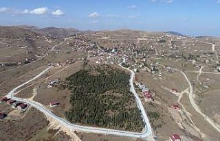 2 bin rakımlı yaylaya bisiklet yolu