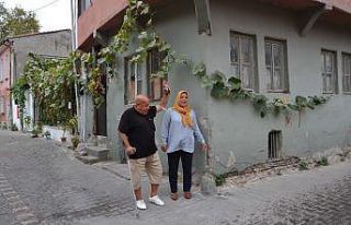 3 ay önce ektiği kabağın boyu 120 metreyi buldu