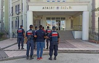 400 kilo sarımsak çalan 2 kişi şüpheli jandarma...