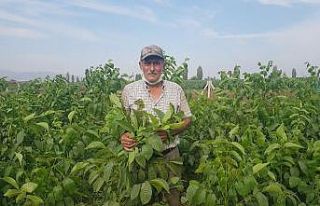 68 yaşında aldığı kurs hayatını değiştirdi,...