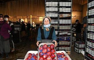 78 yaşındaki işçi çavuşu Şerife nine, pandemi...