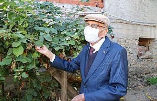 91 yaşındaki Bekir öğretmen koronayı yendi