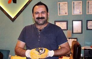 Açlıktan ölmek üzere olan şahine sahip çıktı