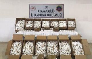 Adana’da makaron operasyonu