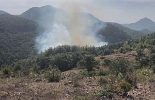 Adana’da orman yangını