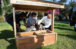 Adana’da parklara mamalık ve suluk yerleştirildi