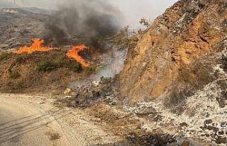 Adana’daki orman yangınına müdahale sürüyor