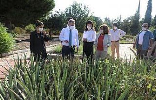 Adana’dan dünyaya şifa yayılacak