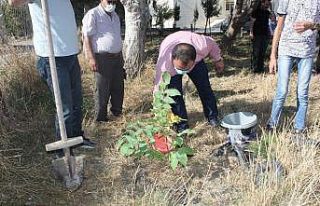 Adilcevaz TÜRŞAD voleybol takımından Hatay’a...