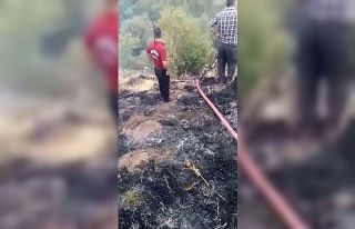 Adıyaman’da orman yangını korkuttu