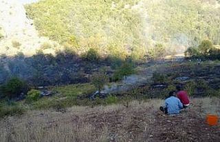 Adıyaman’da orman yangınına itfaiye müdahale...