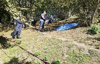 Ağaçtan düşen şahıs hayatını kaybetti