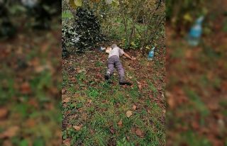 Ağaçtan düşerek yaralandı