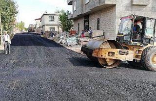Ahlat Belediyesinden asfalt çalışması