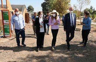 Ak Parti MKYK üyesi Polat Akçakale’de