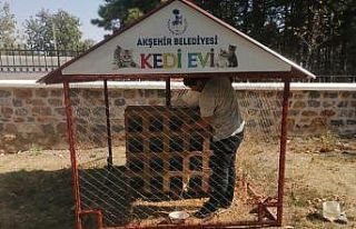 Akşehir Belediyesi sokak hayvanlarını beslemeyi...